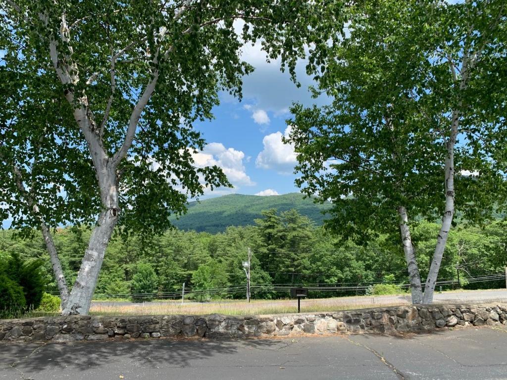 Travelodge By Wyndham Lake George Ny Экстерьер фото